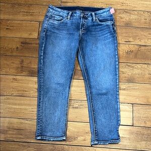 Silver Jeans Elyse slim crop jeans